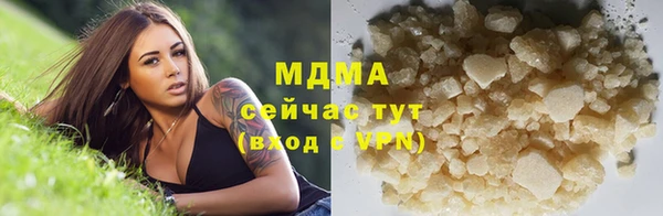 гашик Аркадак