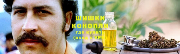гашик Аркадак