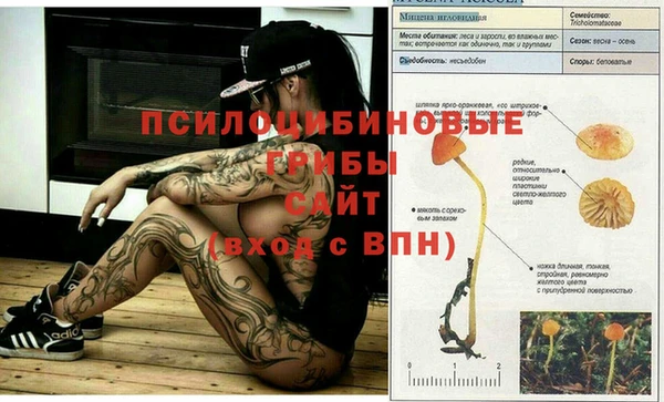 мяу мяу мука Арсеньев