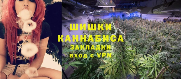 гашик Аркадак
