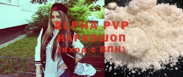 молекула духа Няндома