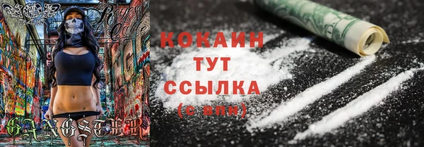 гашик Аркадак