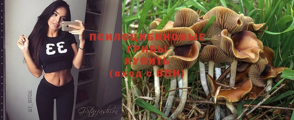 дурь Нягань