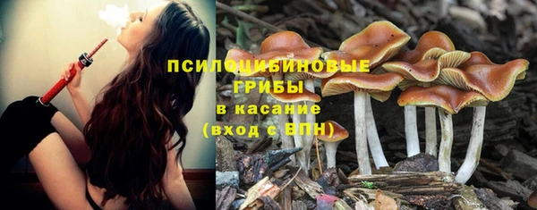 мяу мяу мука Арсеньев