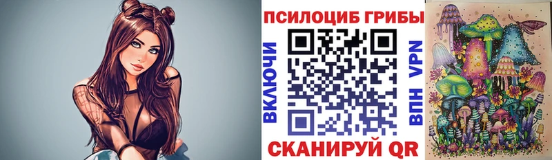 купить наркотики сайты  KRAKEN ссылки  Галлюциногенные грибы прущие грибы  Приморско-Ахтарск 